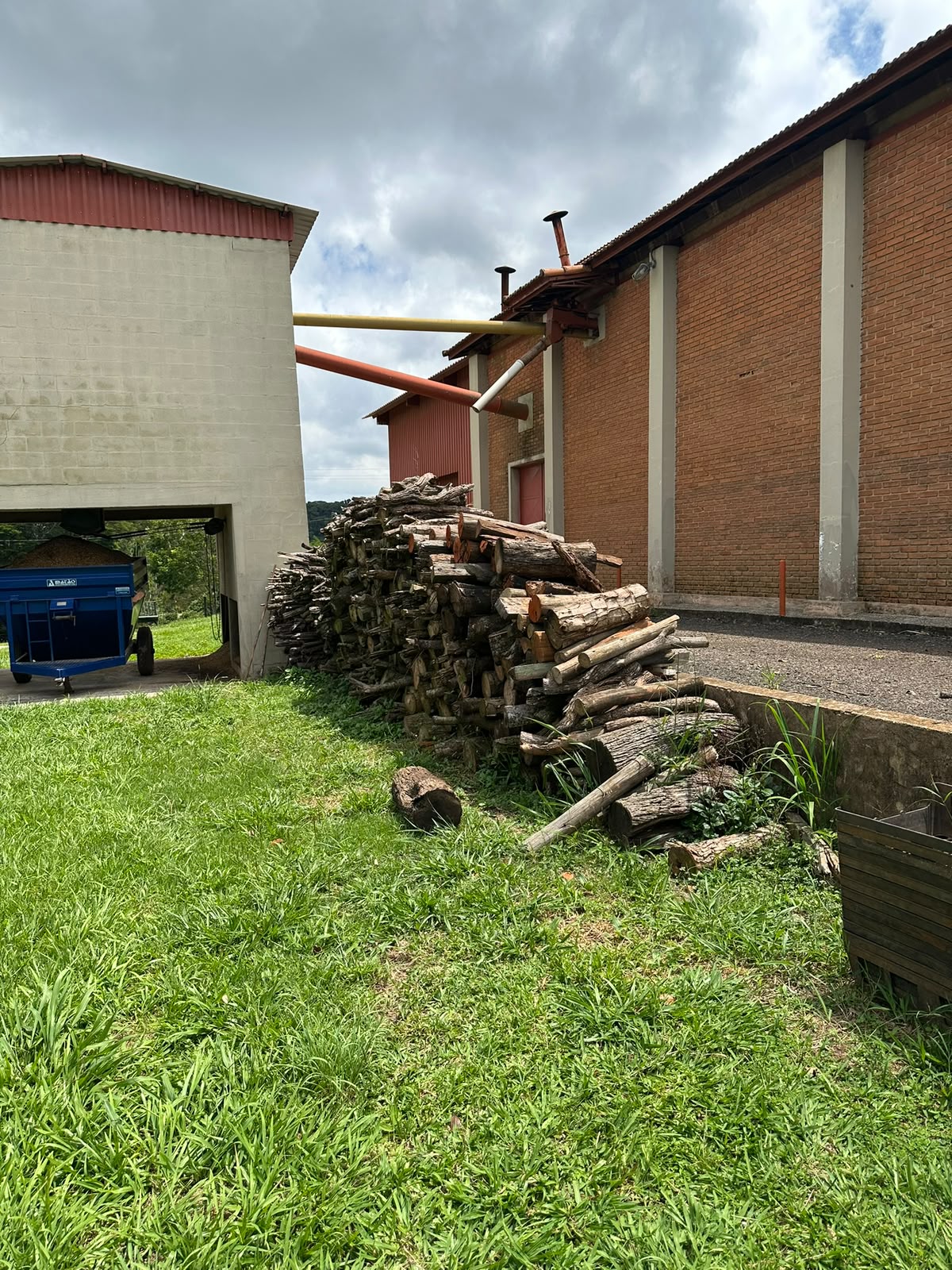 Foto do produto recém chegado